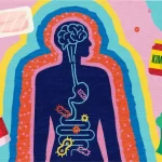 A guide to gut health: What should we eat and what should we avoid?